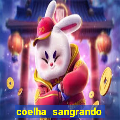 coelha sangrando pela parte intima